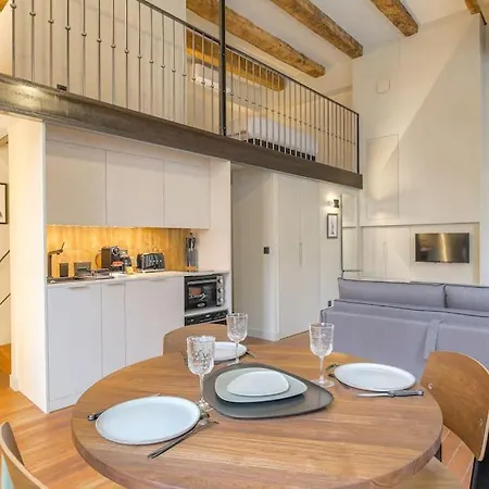Duplex Lumineux Et Authentique, Vieux-lyon Lyon