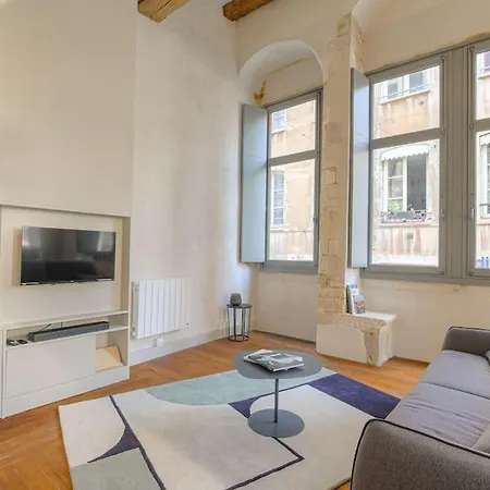 Apartment Duplex Lumineux Et Authentique, Vieux-lyon