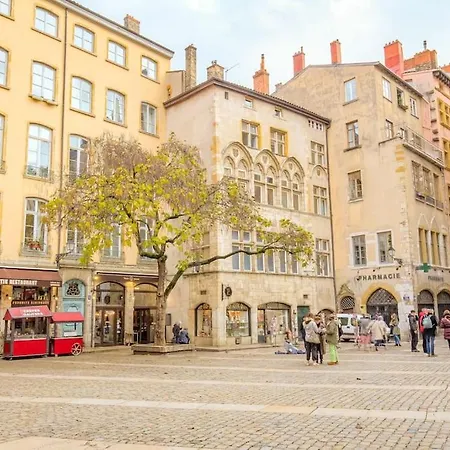 Duplex Lumineux Et Authentique, Vieux-lyon Διαμέρισμα