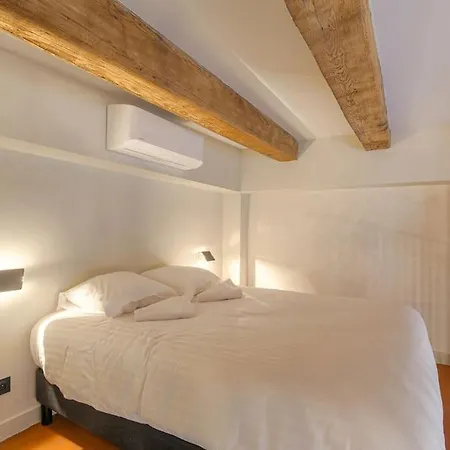 Duplex Lumineux Et Authentique, Vieux-lyon Apartment Lyon