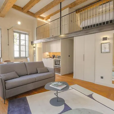 Apartment Duplex Lumineux Et Authentique, Vieux-lyon Lyon