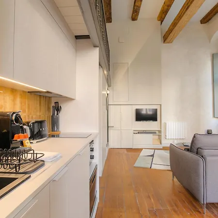 Duplex Lumineux Et Authentique, Vieux-lyon Lägenhet *