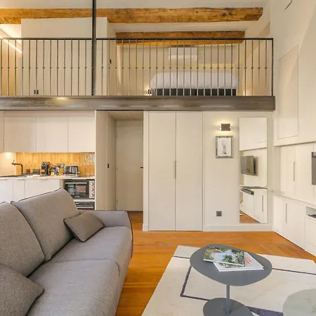 Duplex Lumineux Et Authentique, Vieux-lyon *
