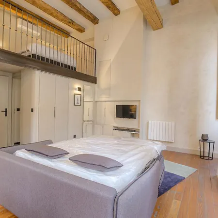 شقة Duplex Lumineux Et Authentique, Vieux-lyon *