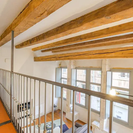 Duplex Lumineux Et Authentique, Vieux-lyon ليون