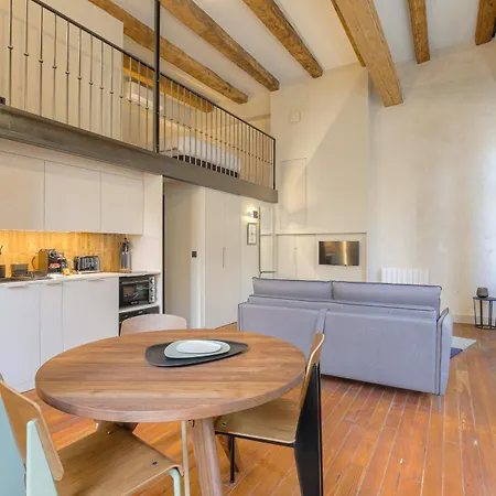 Duplex Lumineux Et Authentique, Vieux-lyon شقة ليون