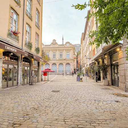 شقة Duplex Lumineux Et Authentique, Vieux-lyon ليون