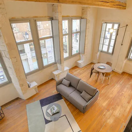 Duplex Lumineux Et Authentique, Vieux-lyon *